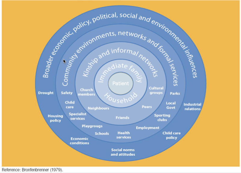 Bronfenbrenner’s Ecological Model. This is a great tool to use to explore a patient’s life and world to discover what matters to them, the connections that can provide support to enhance skills and those that can help them grow and heal.