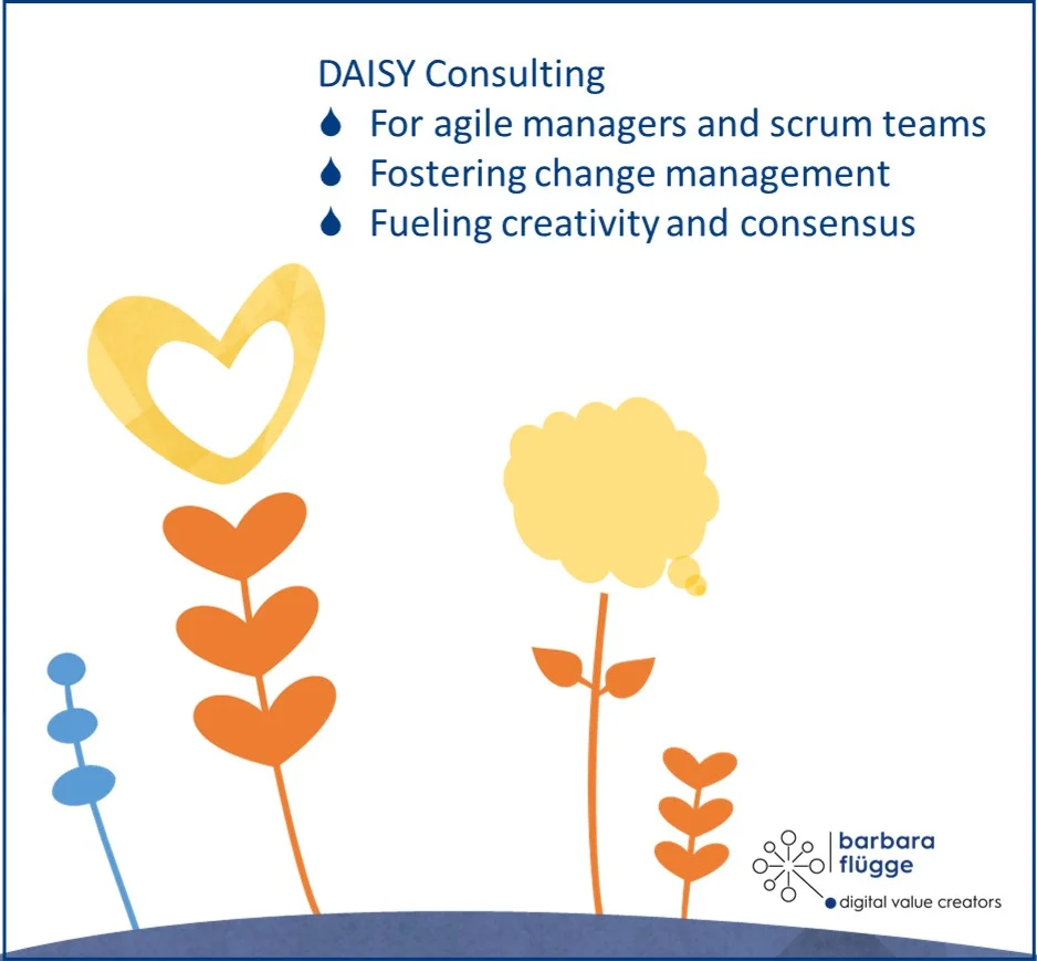 barbaraflügge_DAISY_Agile_Consulting_Tool.jpg