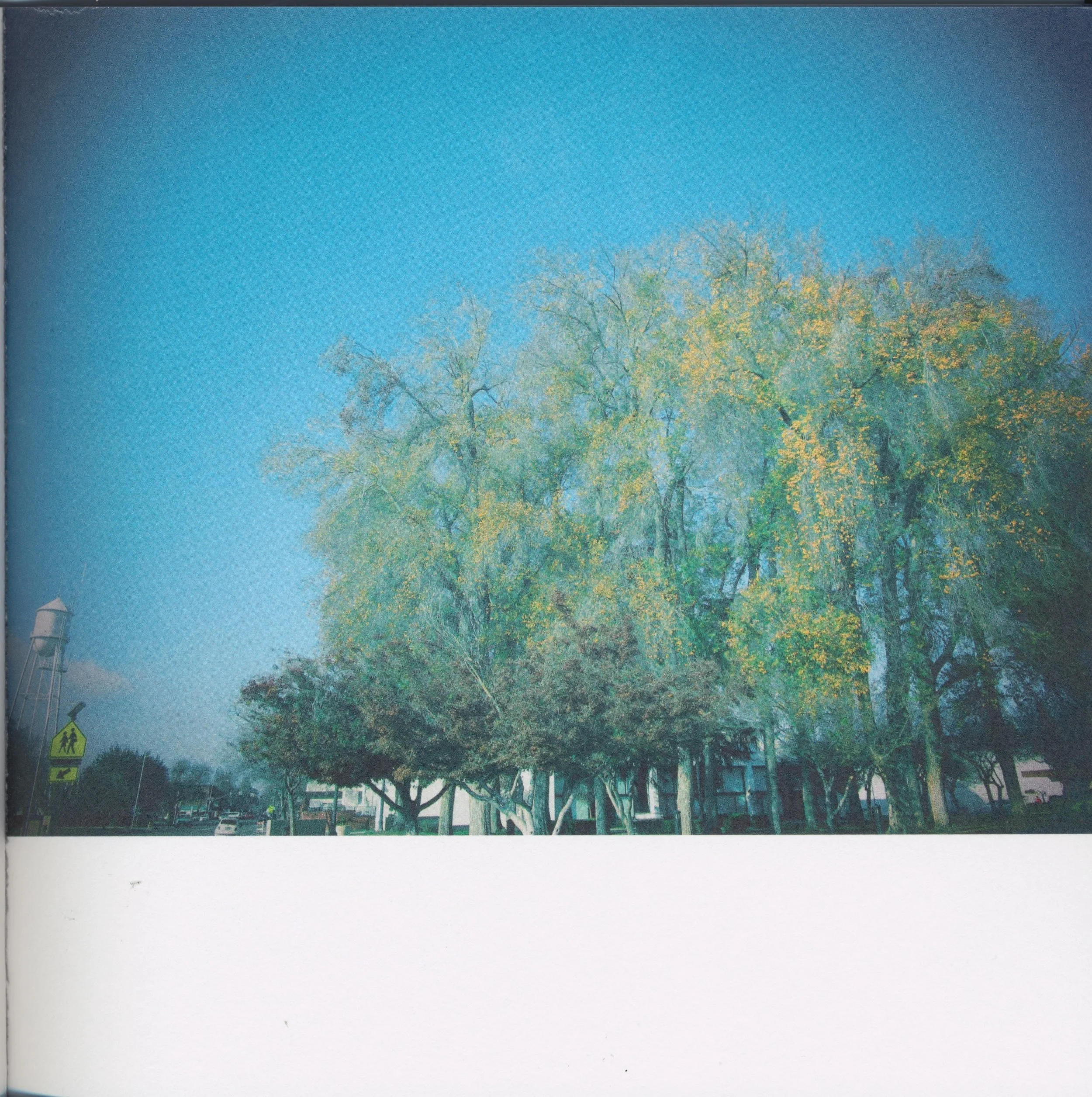BeautifulTreesofFresno2019-1.jpeg