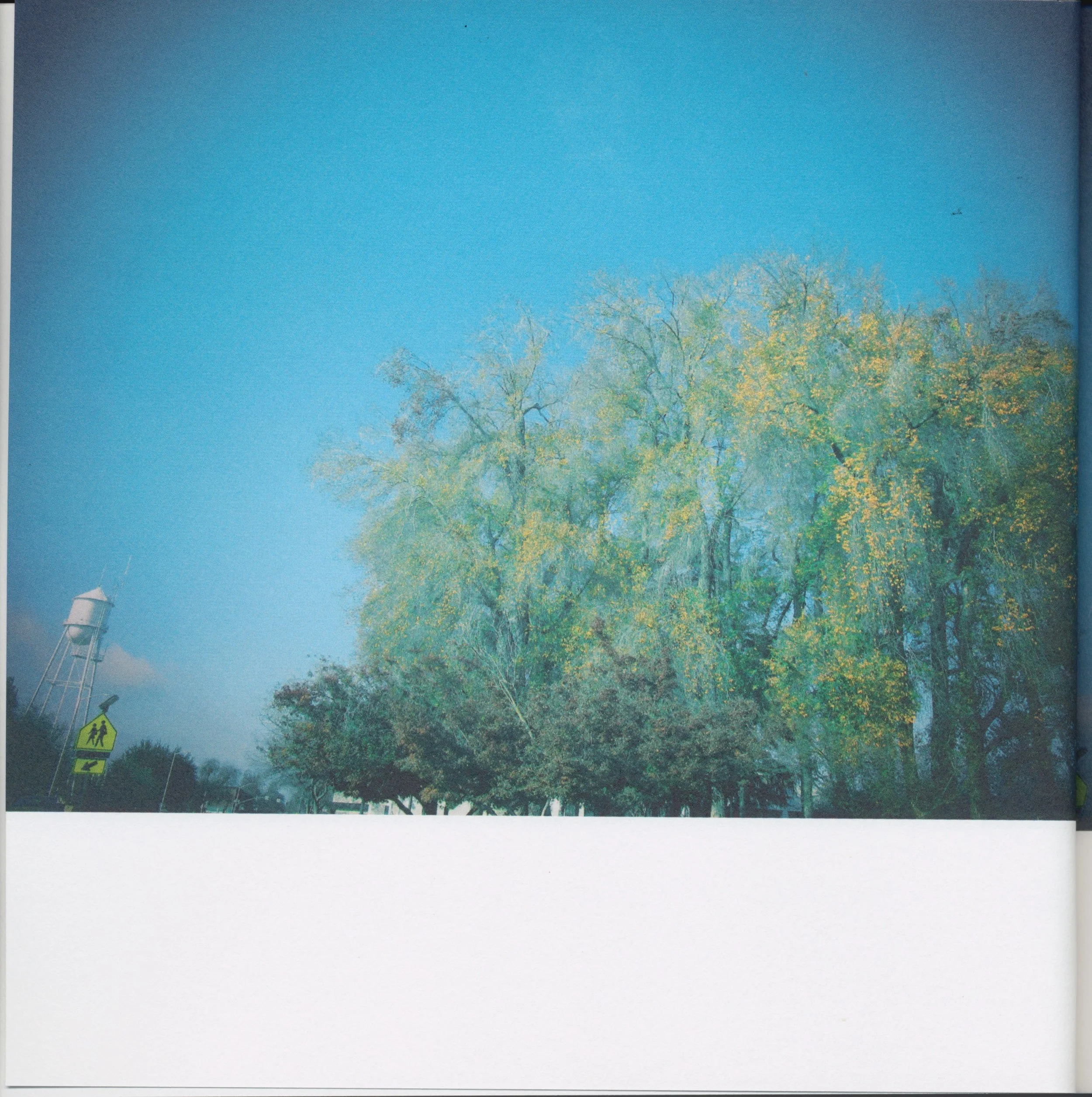 BeautifulTreesofFresno2019-2.jpeg