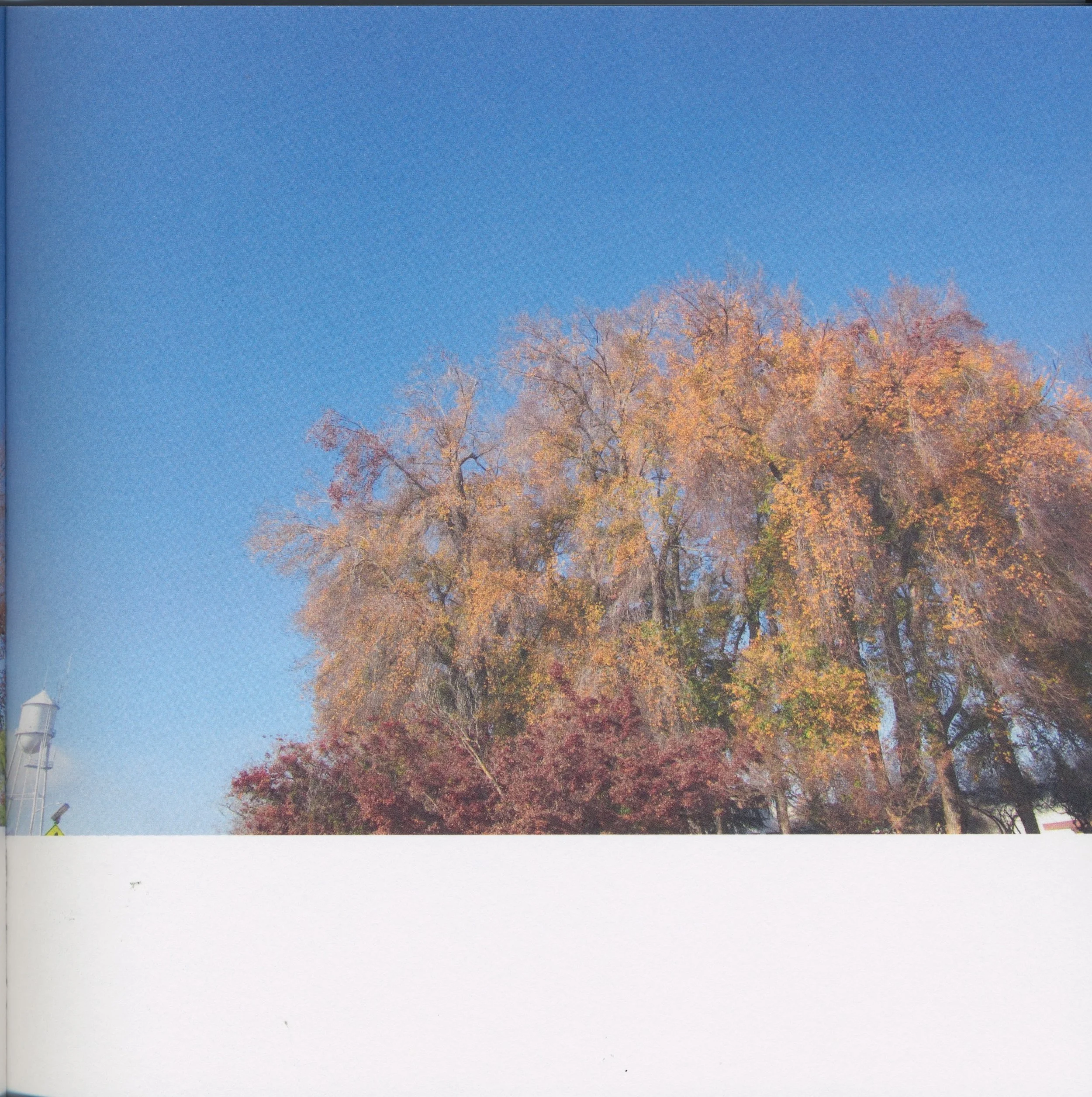 BeautifulTreesofFresno2019-5.jpeg