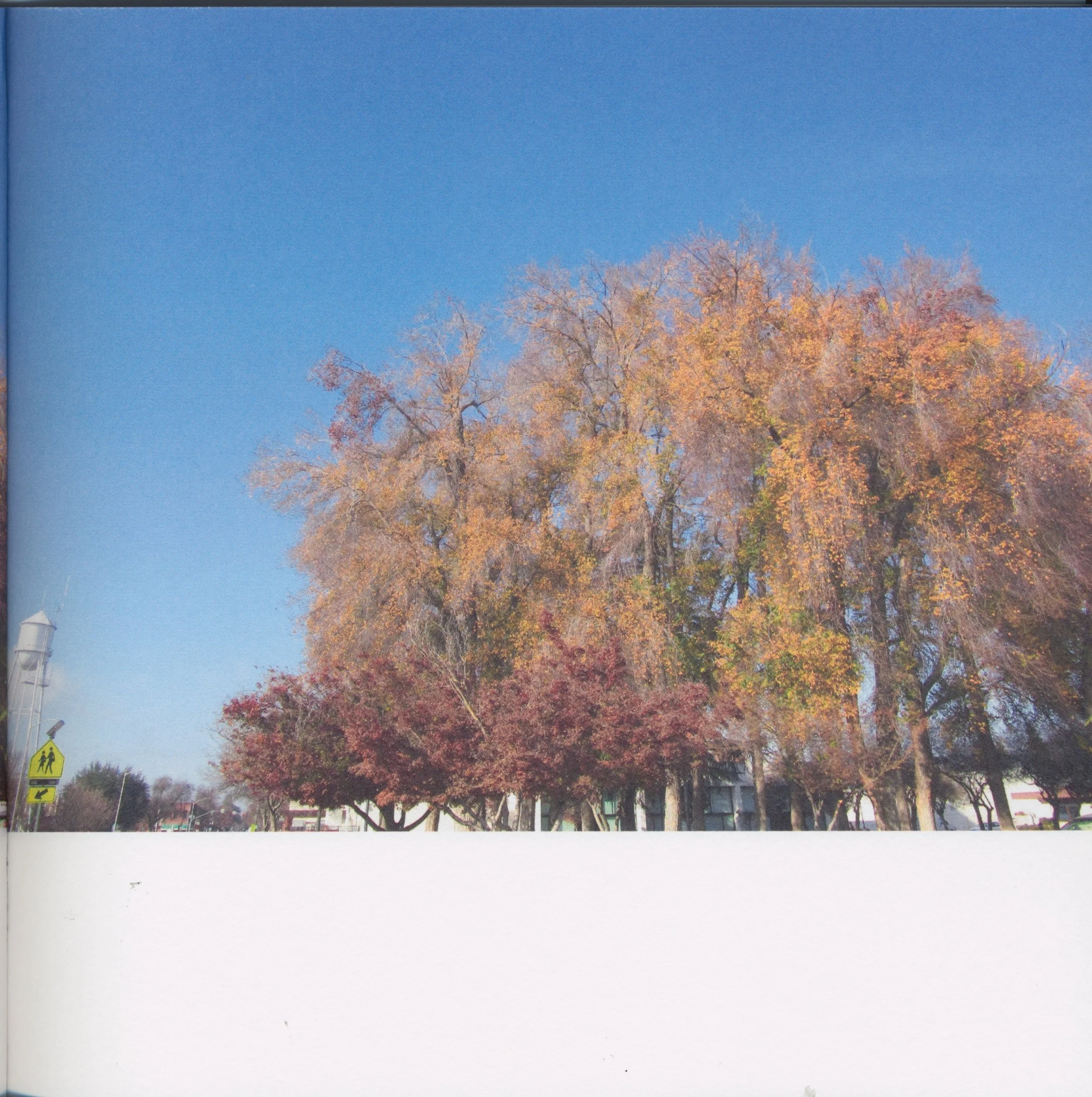 BeautifulTreesofFresno2019-7.jpeg
