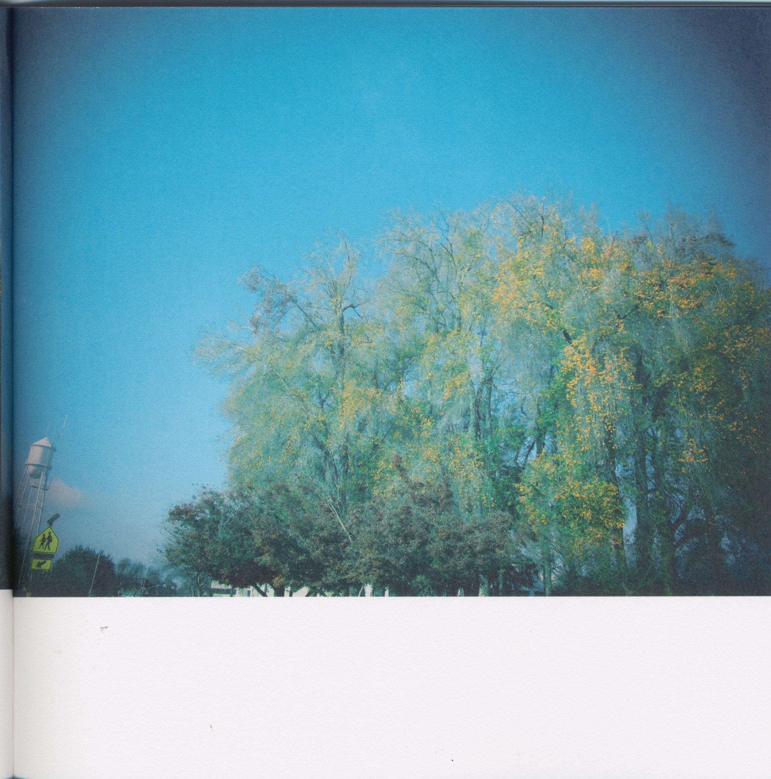 BeautifulTreesofFresno2019-9.jpeg