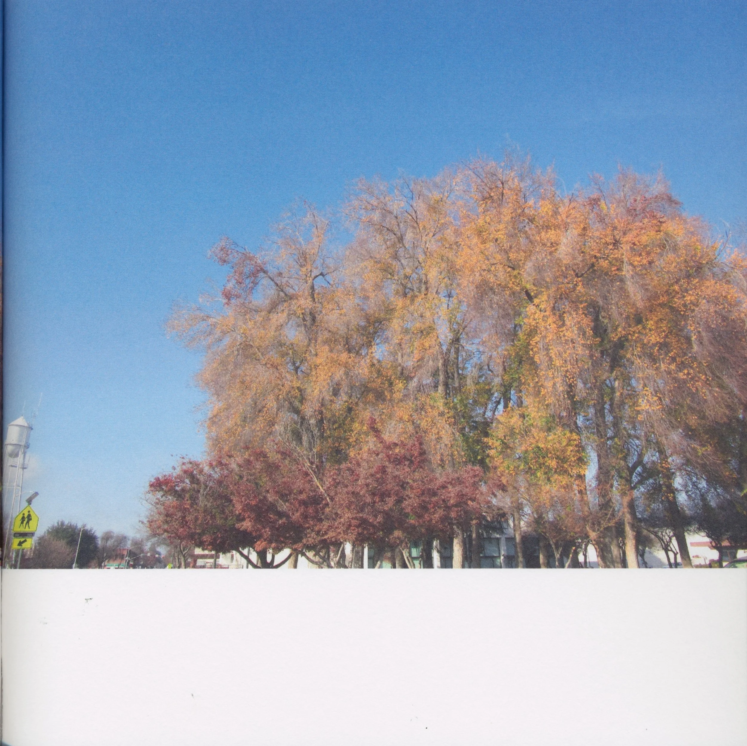 BeautifulTreesofFresno2019-15.jpeg