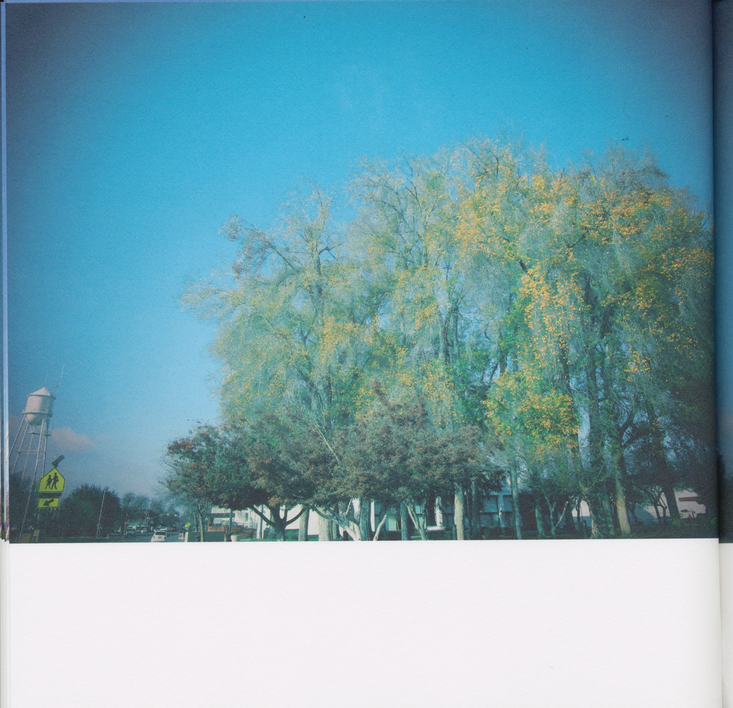 BeautifulTreesofFresno2019-16.jpeg