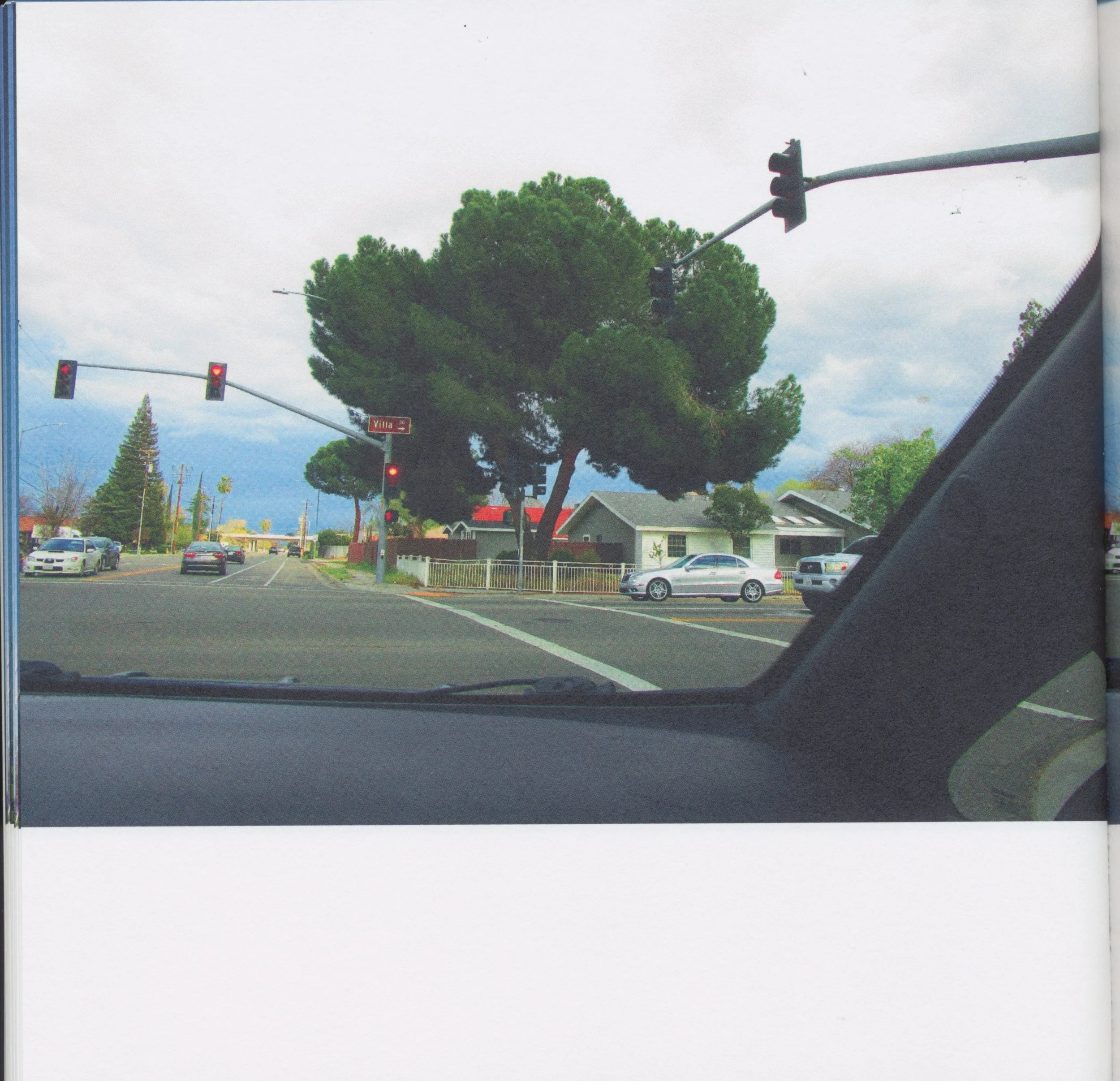 BeautifulTreesofFresno2019-18.jpeg