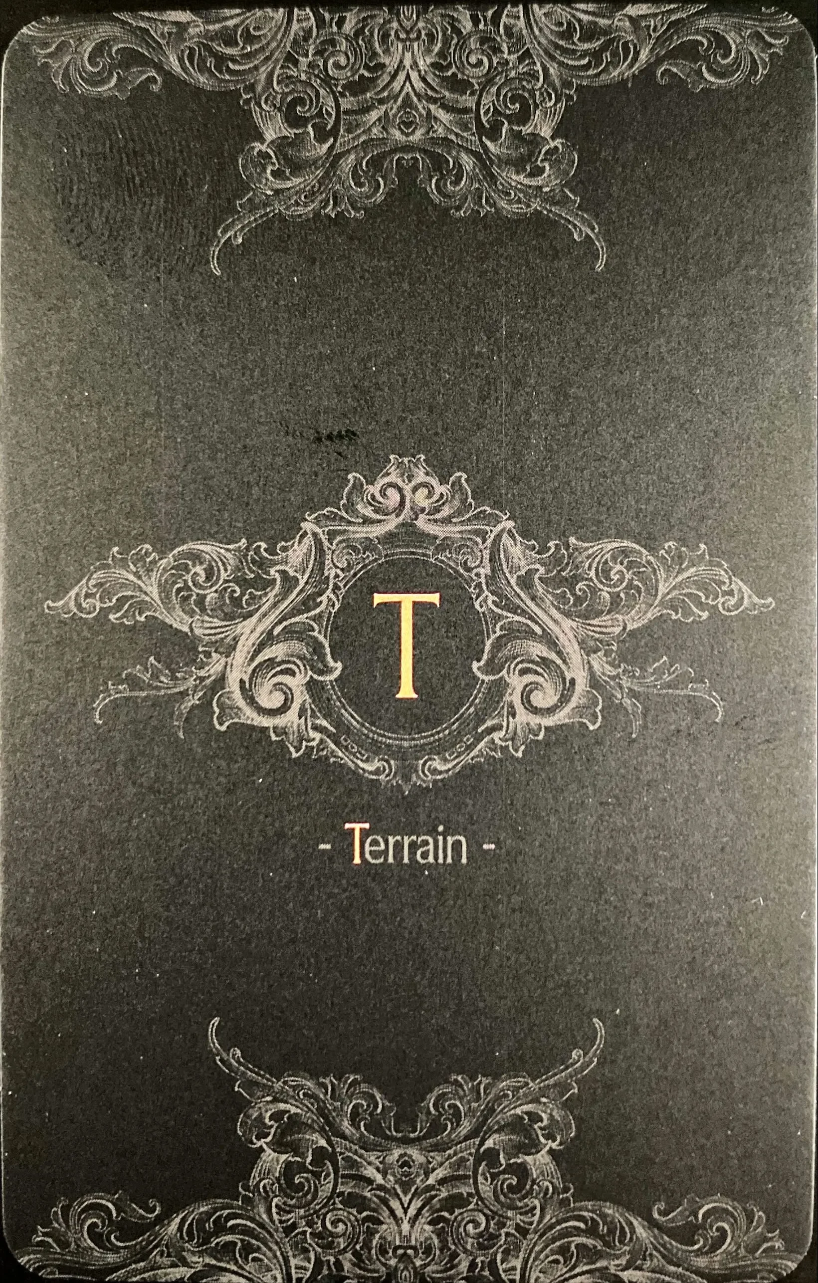 _Terrain back 2.webp