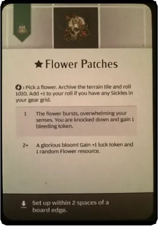 flower patches.webp