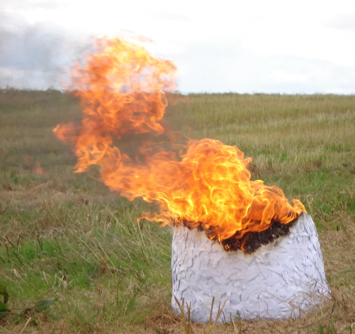 coracle copy.jpg