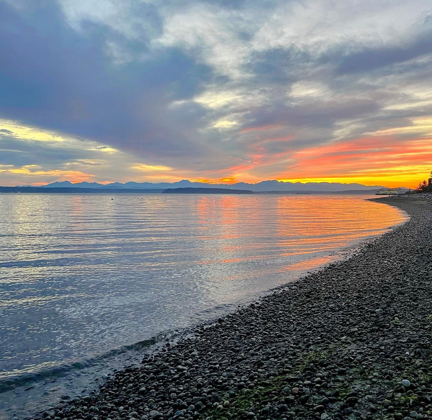 Beachy sunset last night 🌅