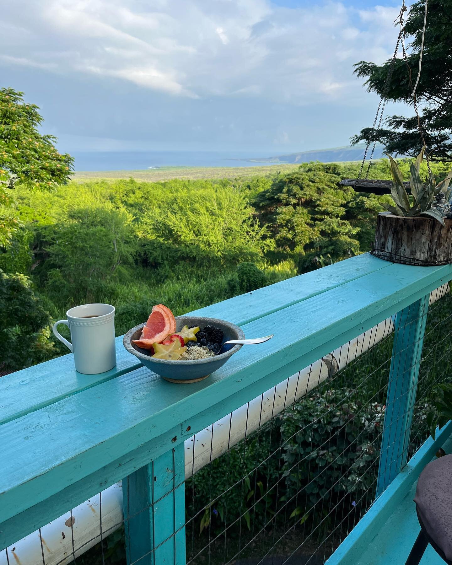 Unbelievable breakfast views. And that shower was just as peaceful and relaxing as it looks. Sound up on the last one for the coqui frogs! Not quite my favorite whistling frogs, but still pretty cool.