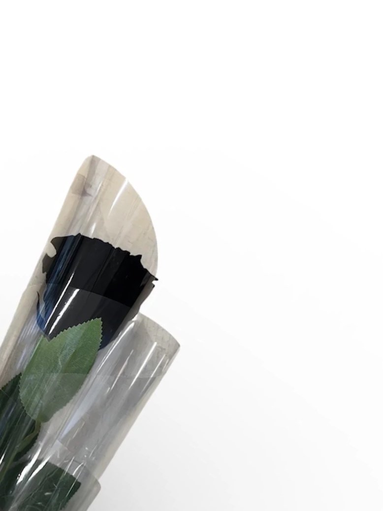 Midnight Muse – Single Stem Black Preserved Rose