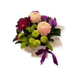 Lilypilly Perth 31