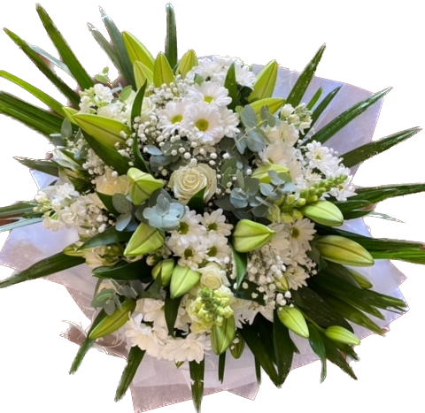 Lilypilly Perth 38