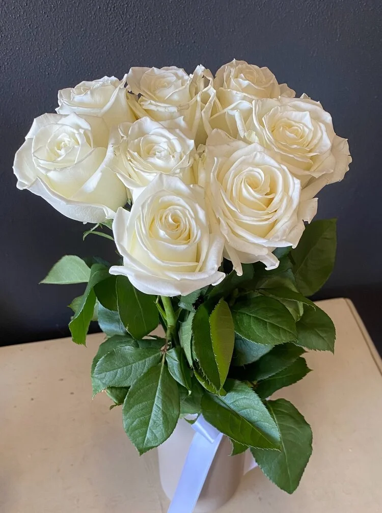 Lilypilly Perth 43
