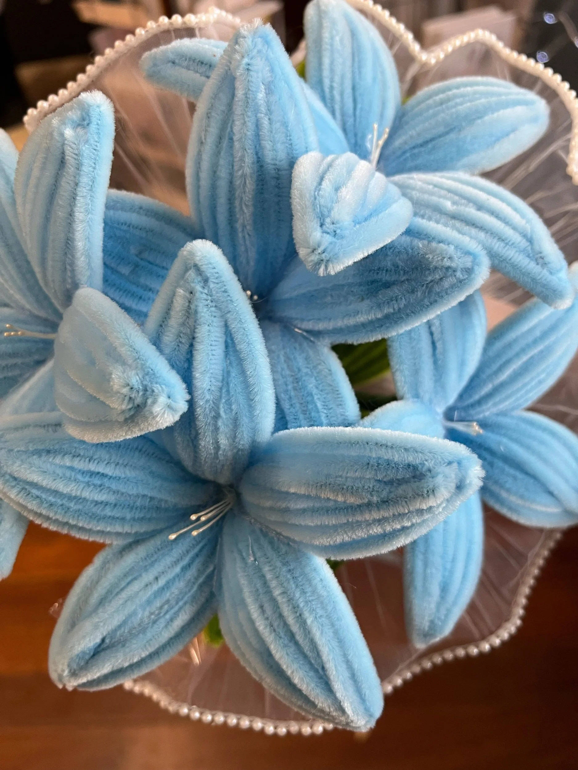 Blue Lily forever flowers @ Lilypilly