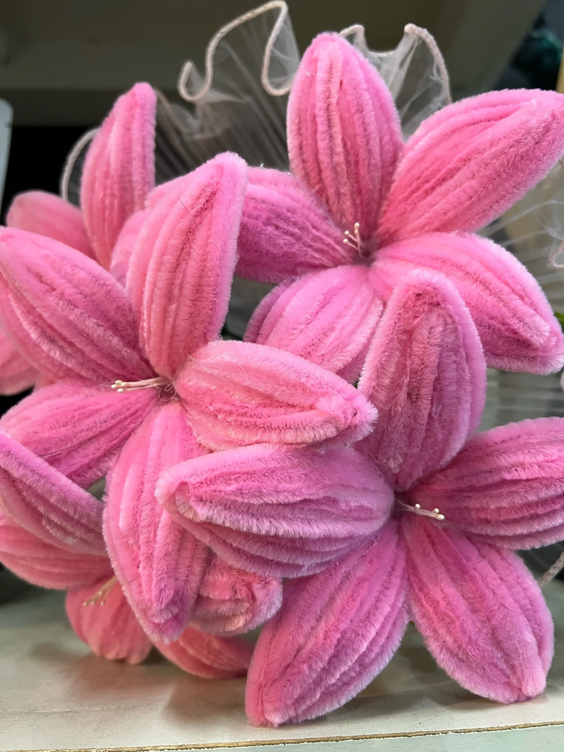 Pink forever flowers @ Lilypilly