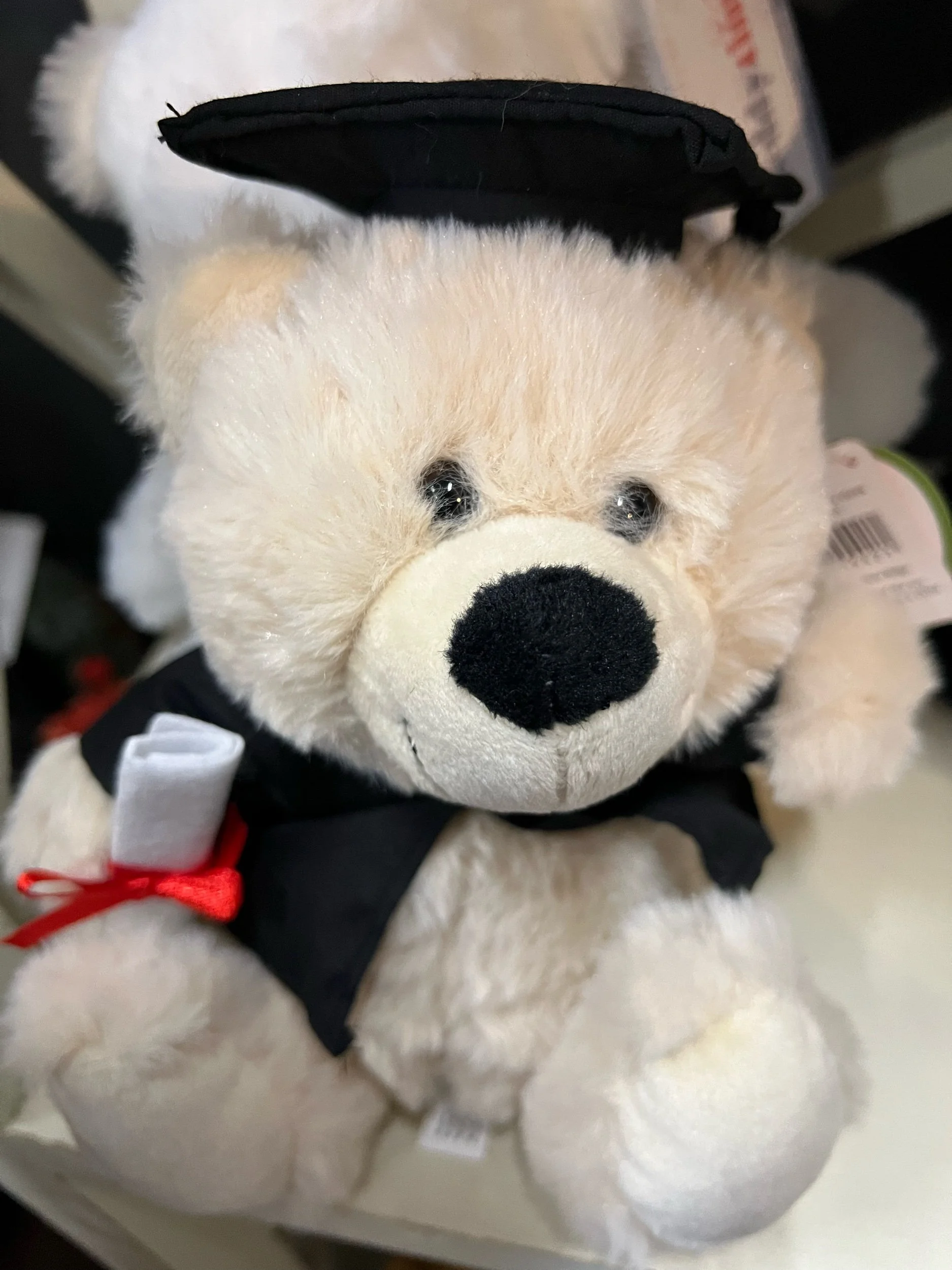 Graduation Teddy
