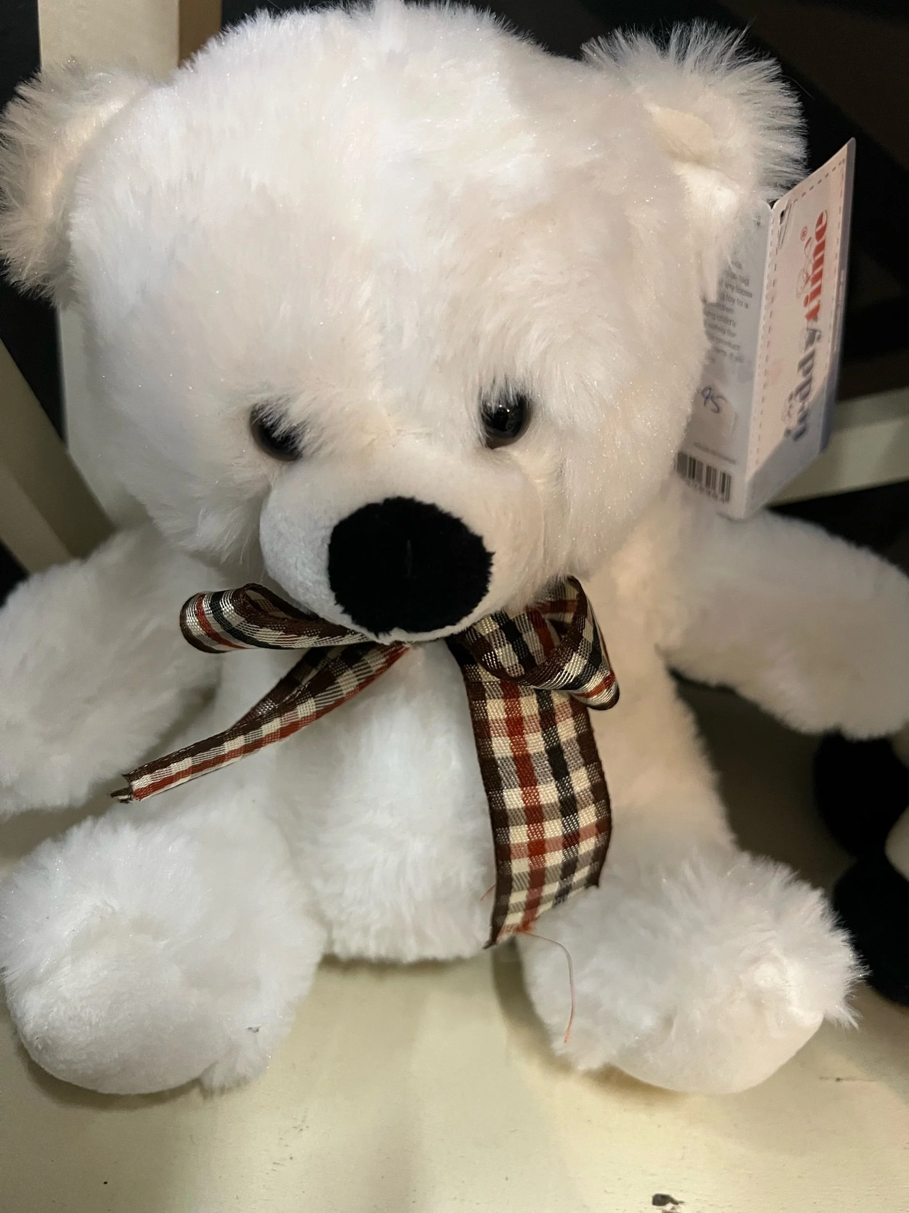 White teddy