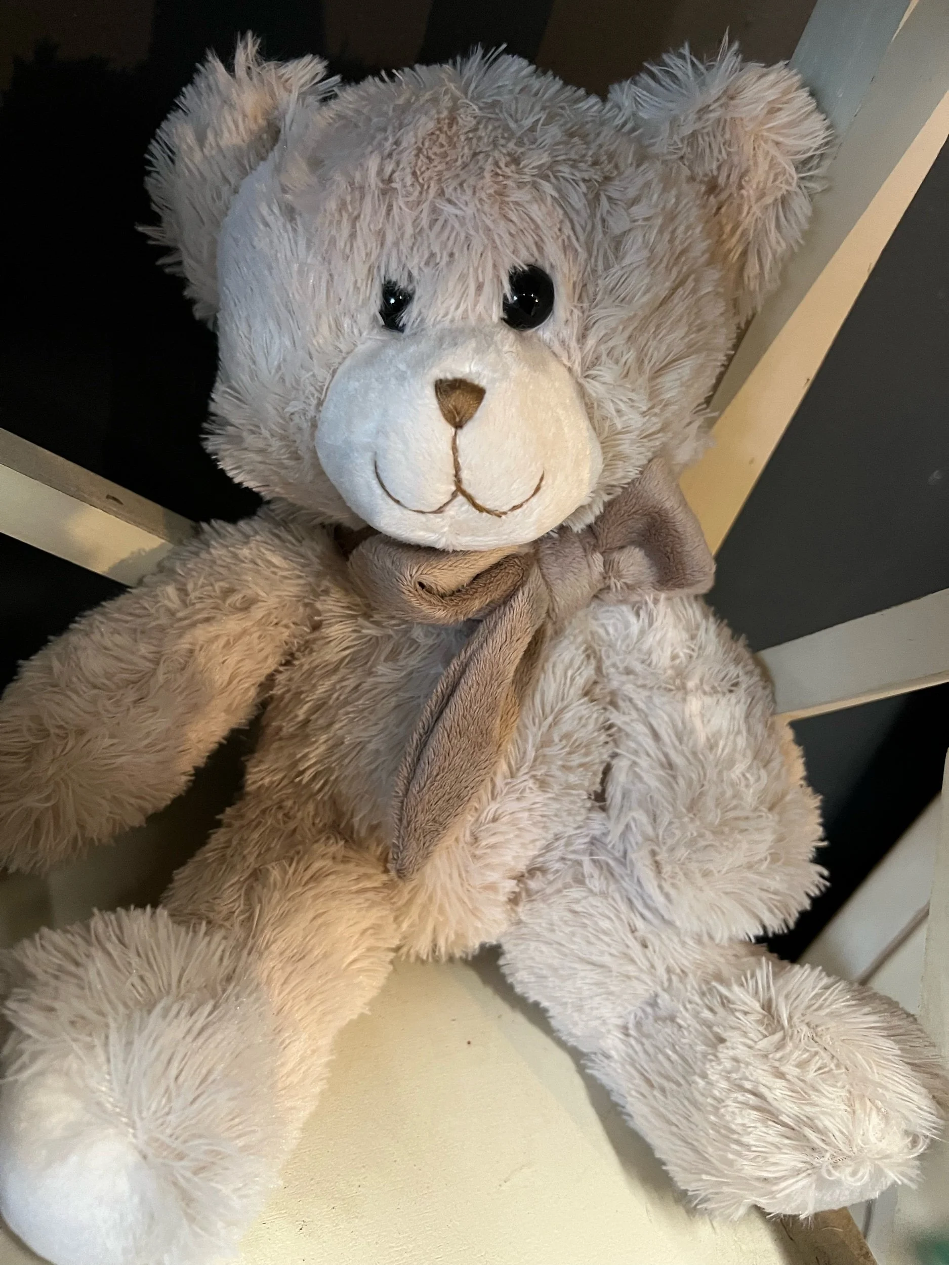beige teddy