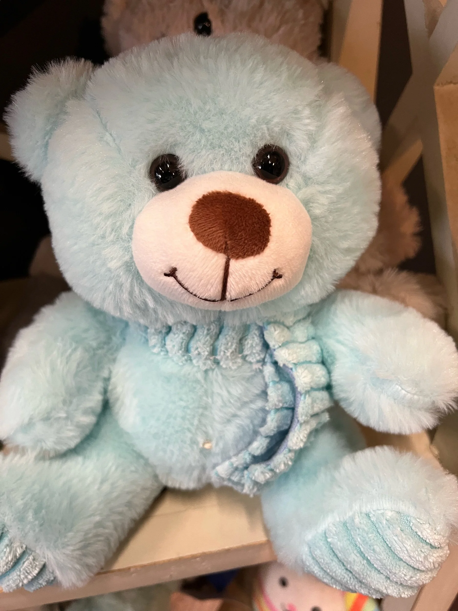 Large teddy