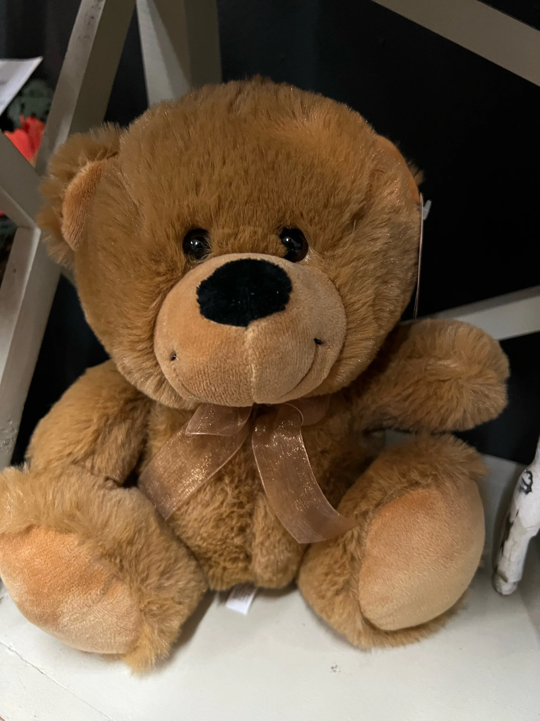 Brown teddy