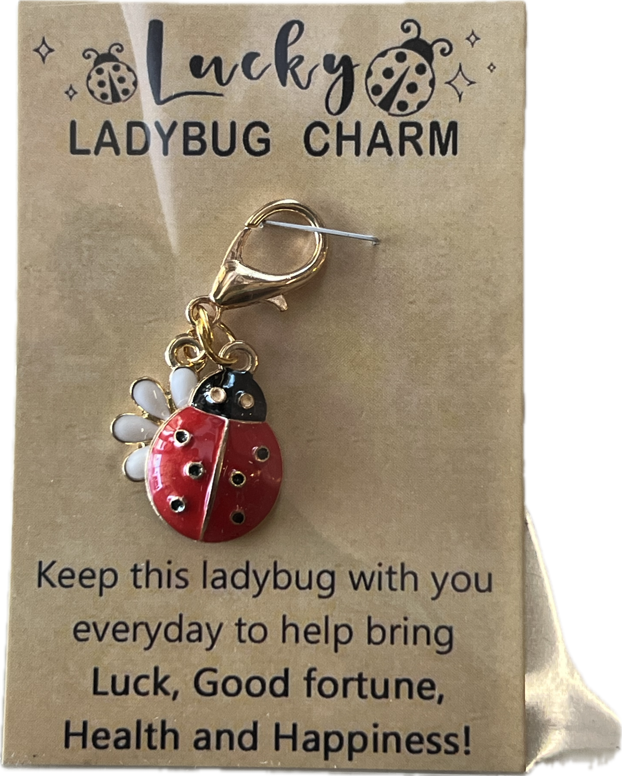 Ladybug charm
