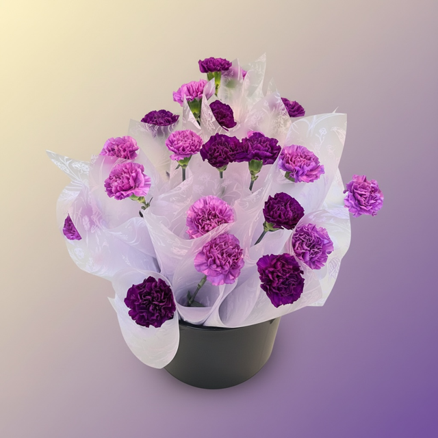 purple carnations single wrapped.PNG