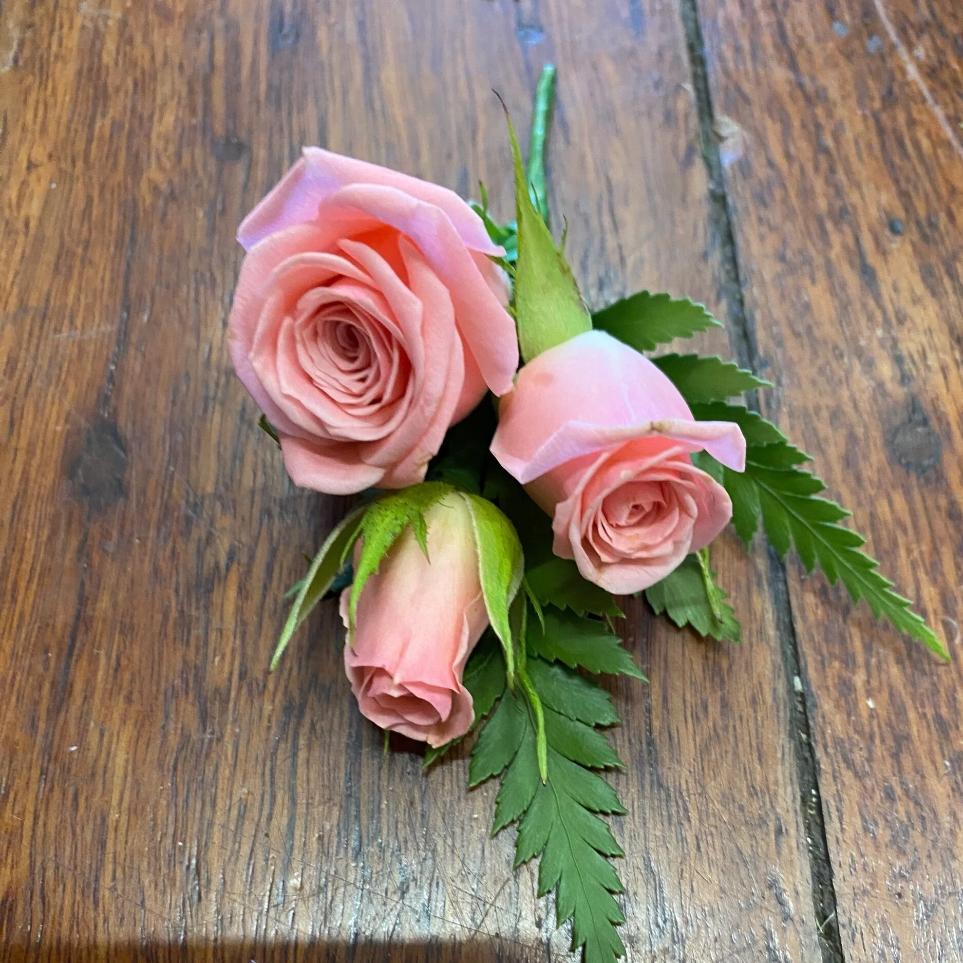 Elegant fresh pale pink rose buttonhole with featuring greenery handcrafted floral