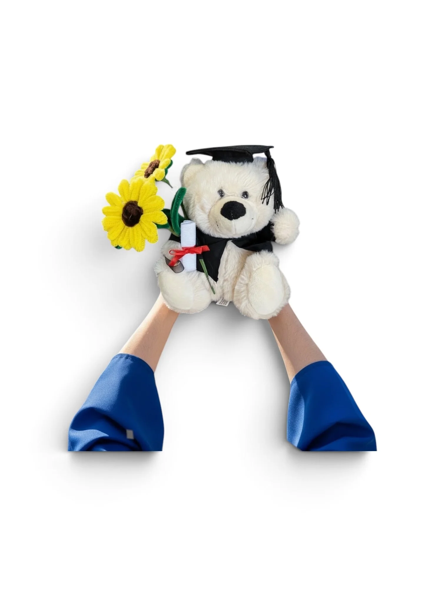 Graduation bear with two Forever Sunflowers graduation gift South Perth.JPG