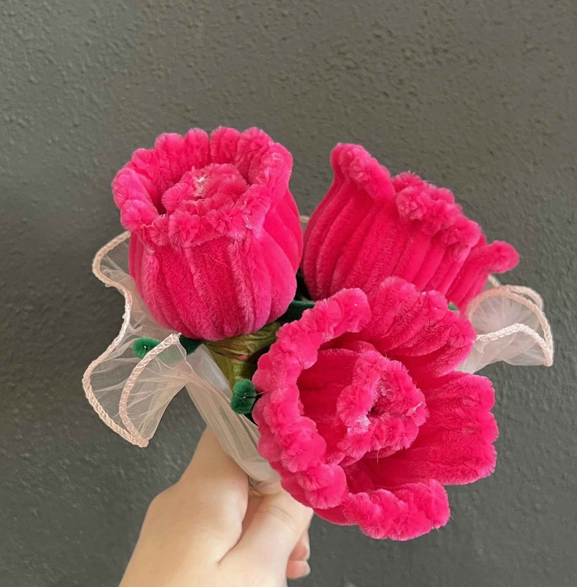 Forever hot pink roses @ Lilypilly