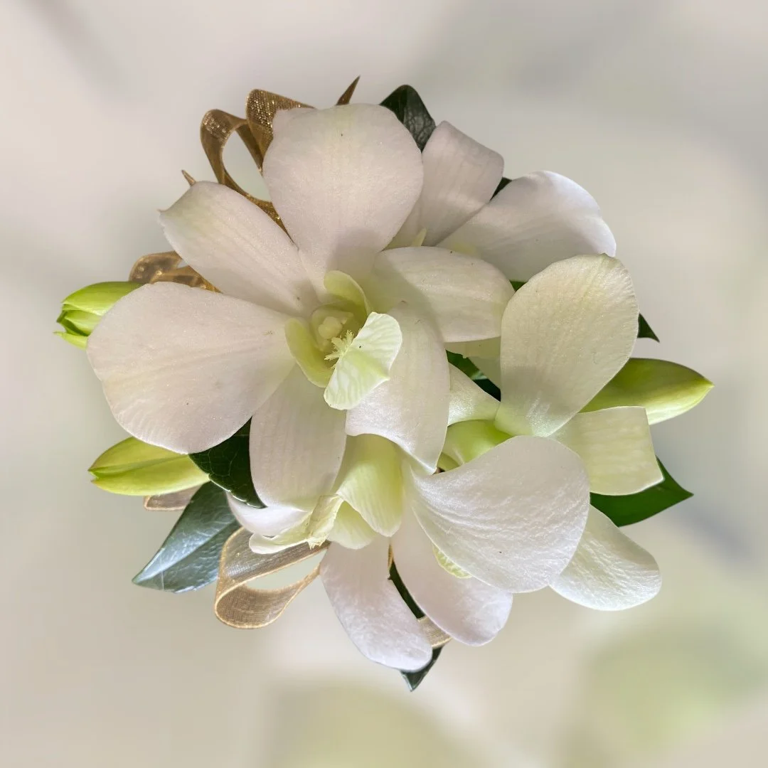 Fresh Orchid Corsage