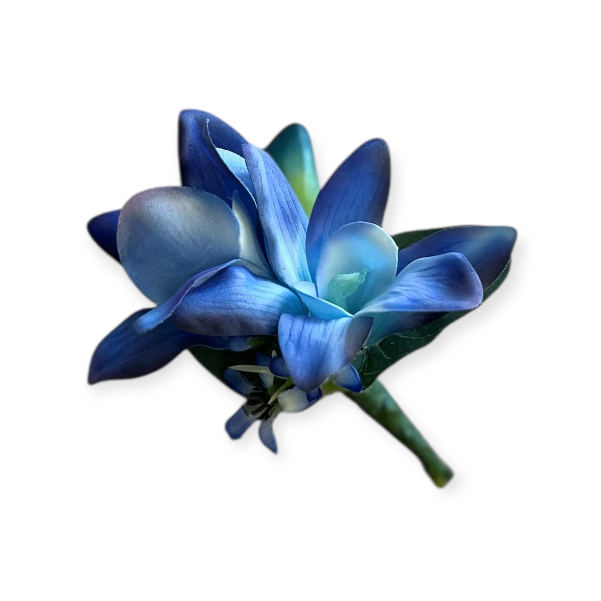 Ocean blue real touch silk orchid Buttonhole for school ball”  “Blue orchid buttonholes silk keepsake Perth”  “Layered blue silk orchid Buttonhole coastal formal flowers” by Lilypilly