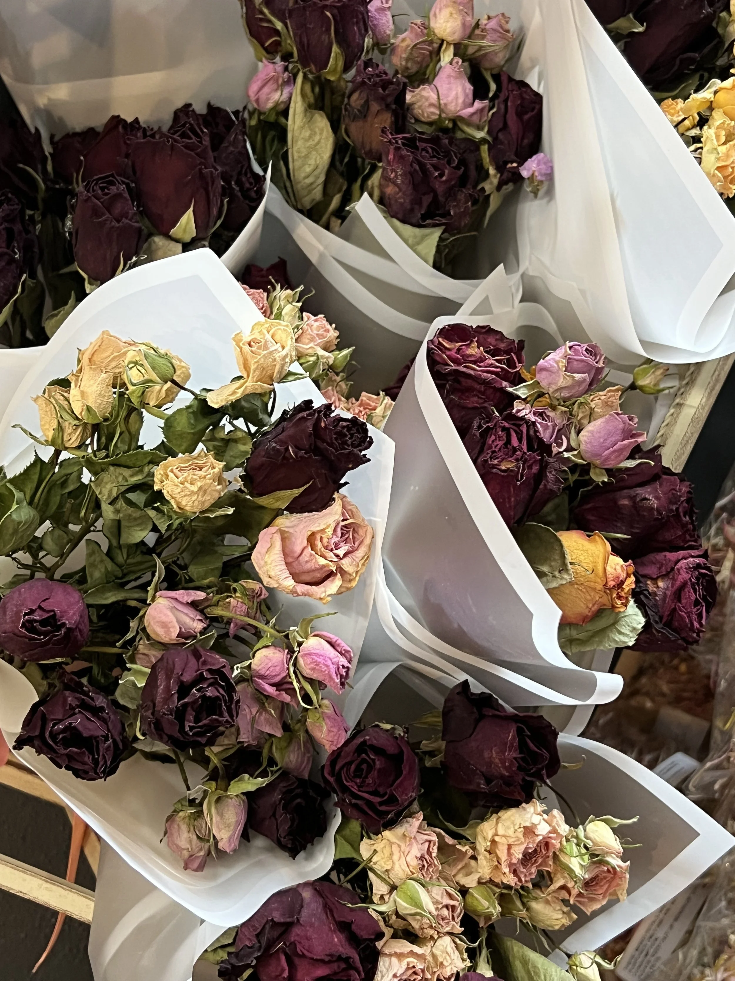 Flower Day dried rose bouquet in mixed colours, a lasting friendship gift from Lilypilly Florist