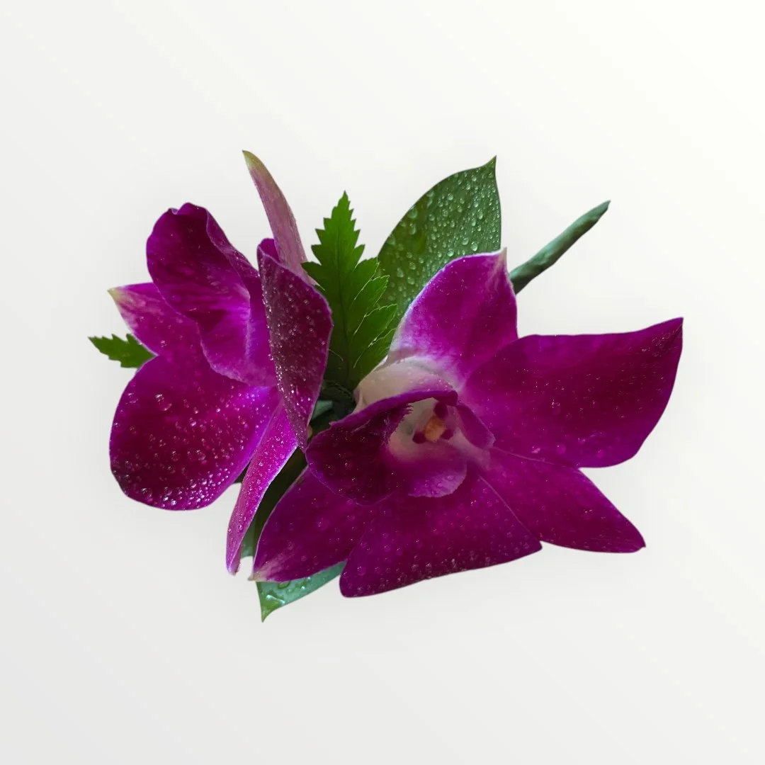 Bold & Classic purple Orchid buttonhole handcrafted by Lilypilly South Perth