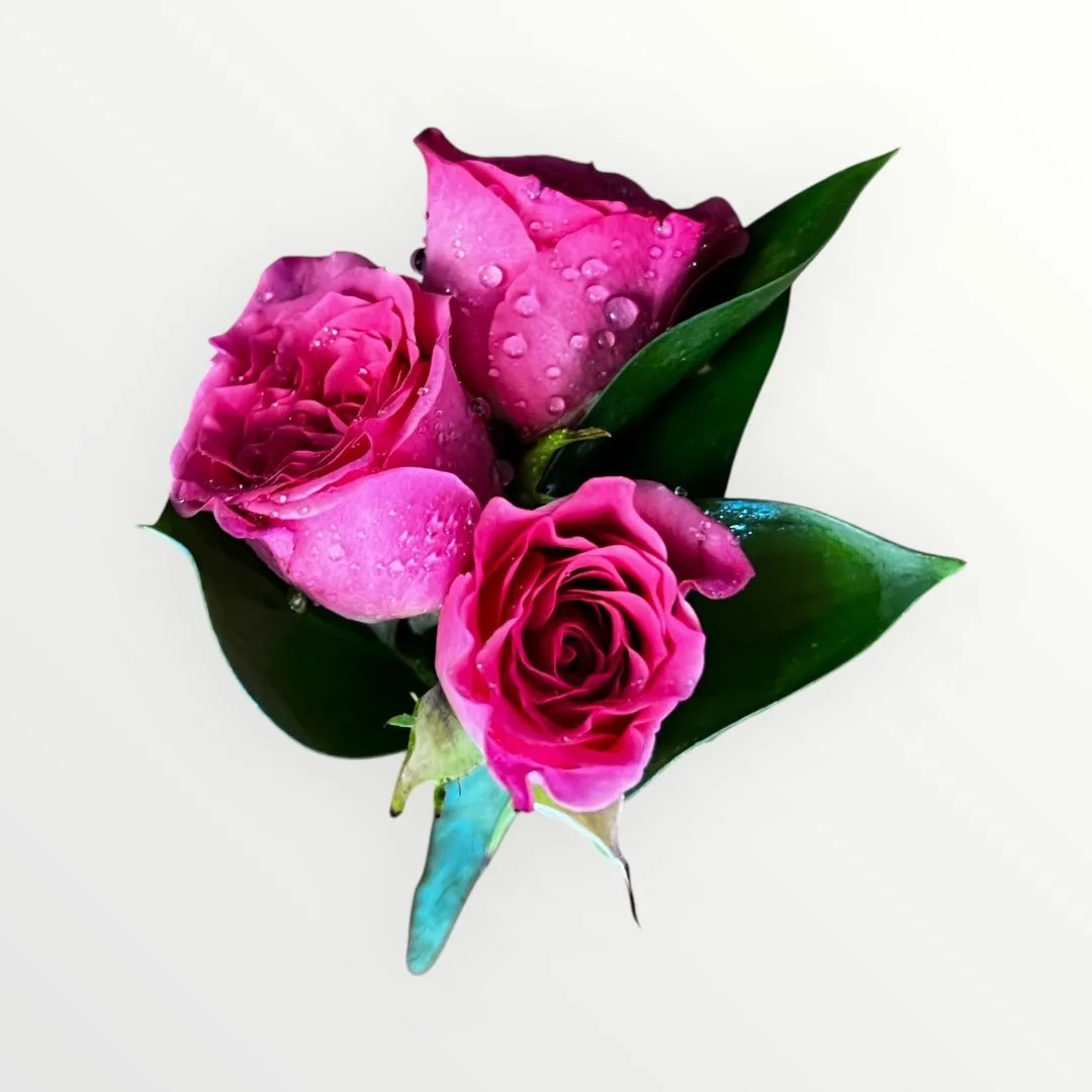 Bold & Vibrant: hot pink rose buttonhole stand out to compliment a suit or tuxedot