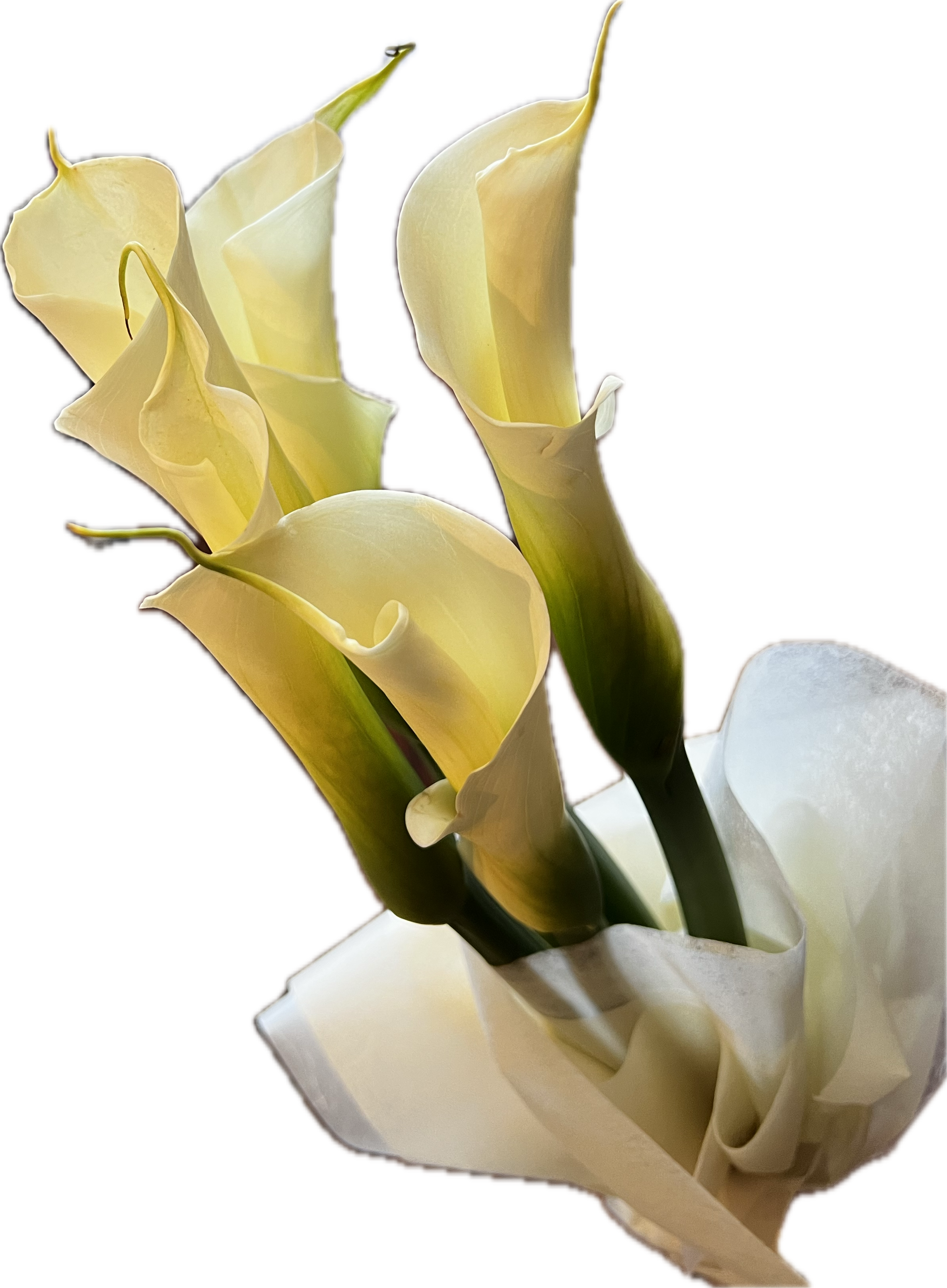 Calla Lily bouquet @ Lilypilly