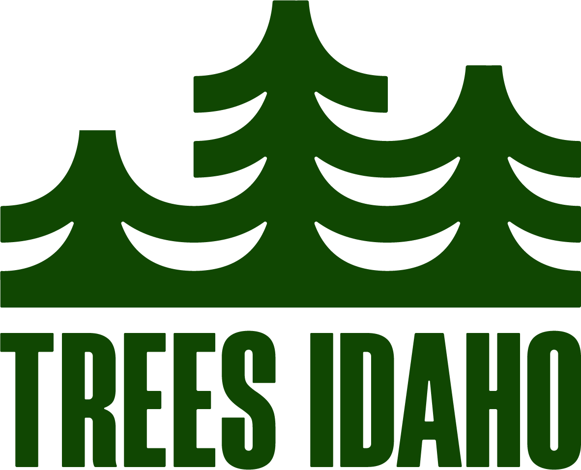 Vinly Sticker Green.png