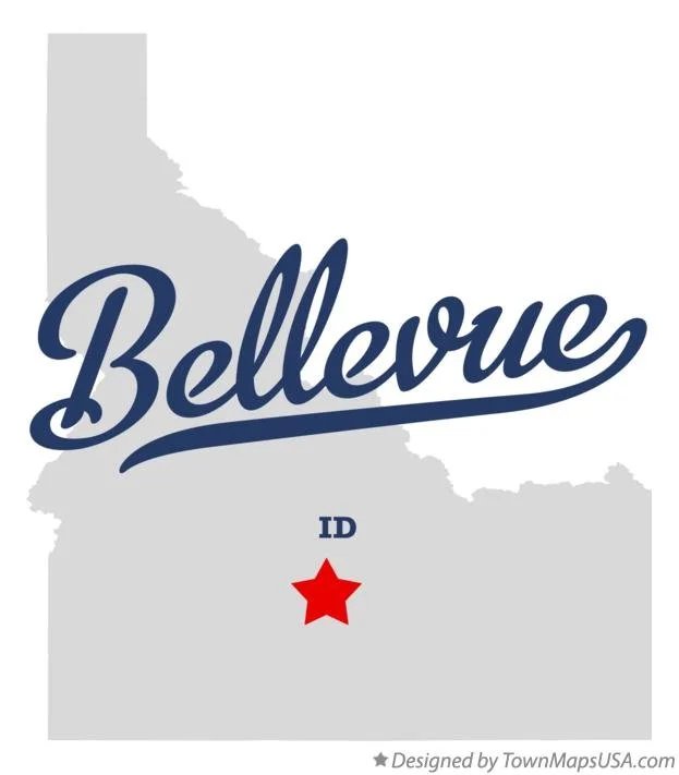 BellevueID_logo.jpg