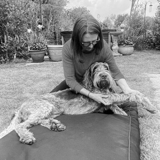 Mandy performing canine osteopathy with one of her, very beautiful, patients in the garden, a very stressfree environment for those dogs who don't care for clinics. #canineosteopathy #canine #dogosteopath #dogosteopathy #canineosteopathlewes #canineo