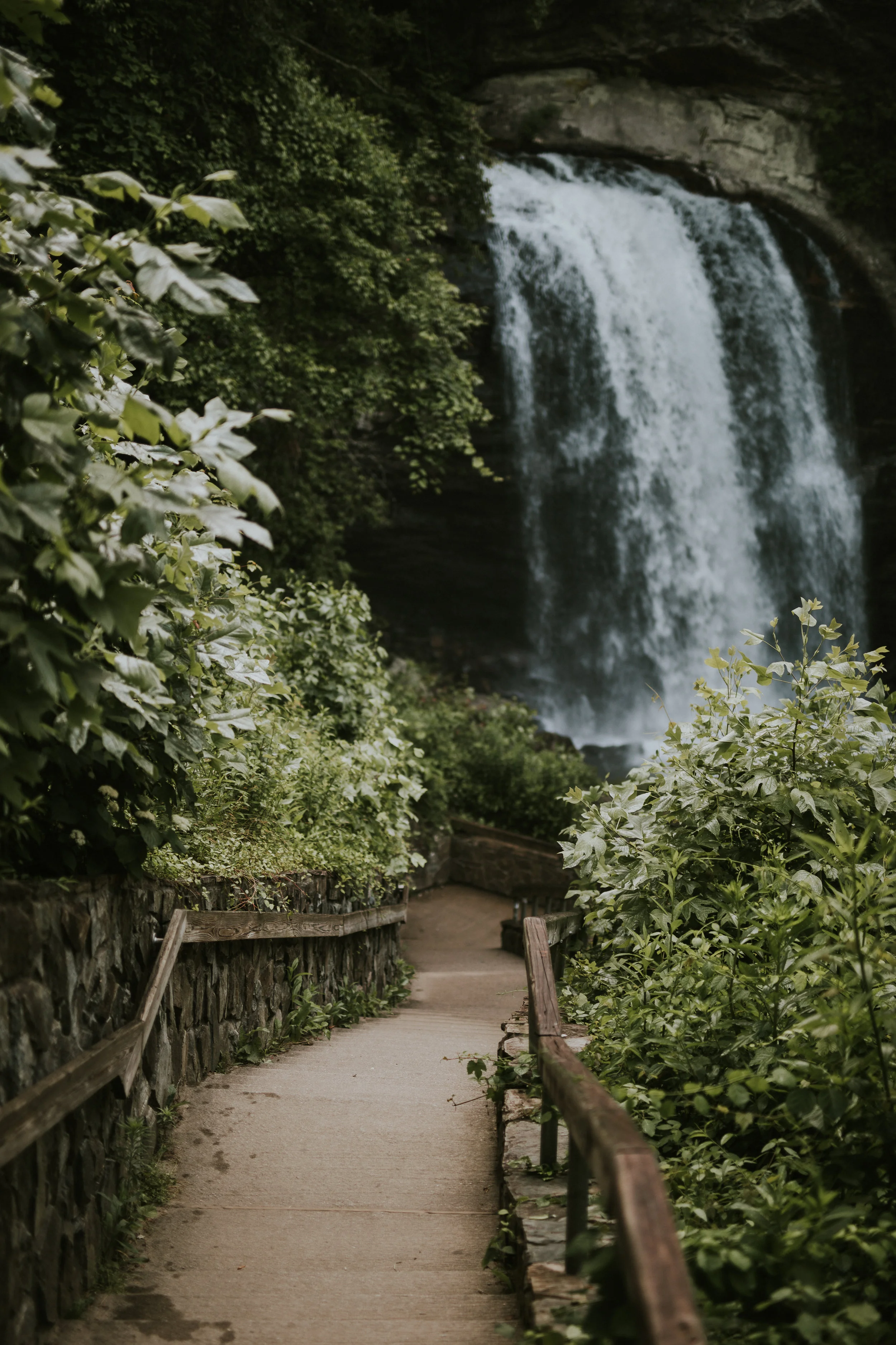 untitled-9206.jpg