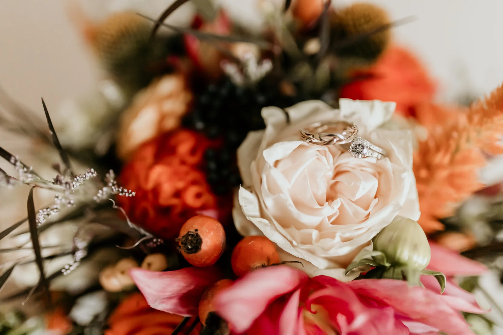 makayla_parker_10_06_2018-9352blog.jpg