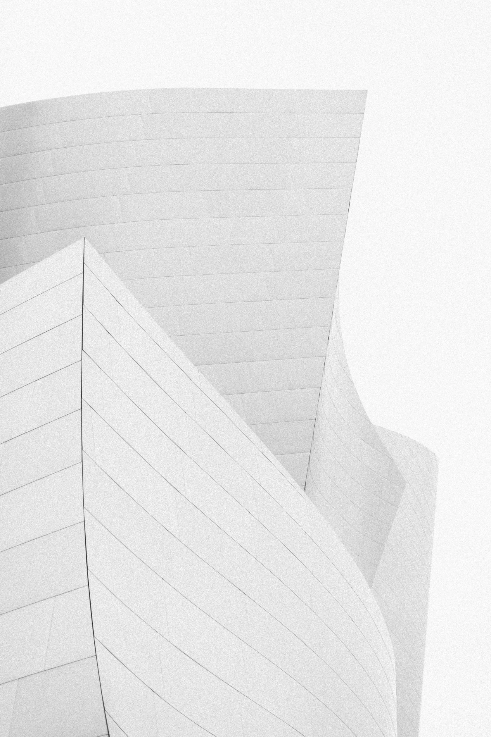 CourtneyPaigeRay_DisneyConcertHall-1.jpg