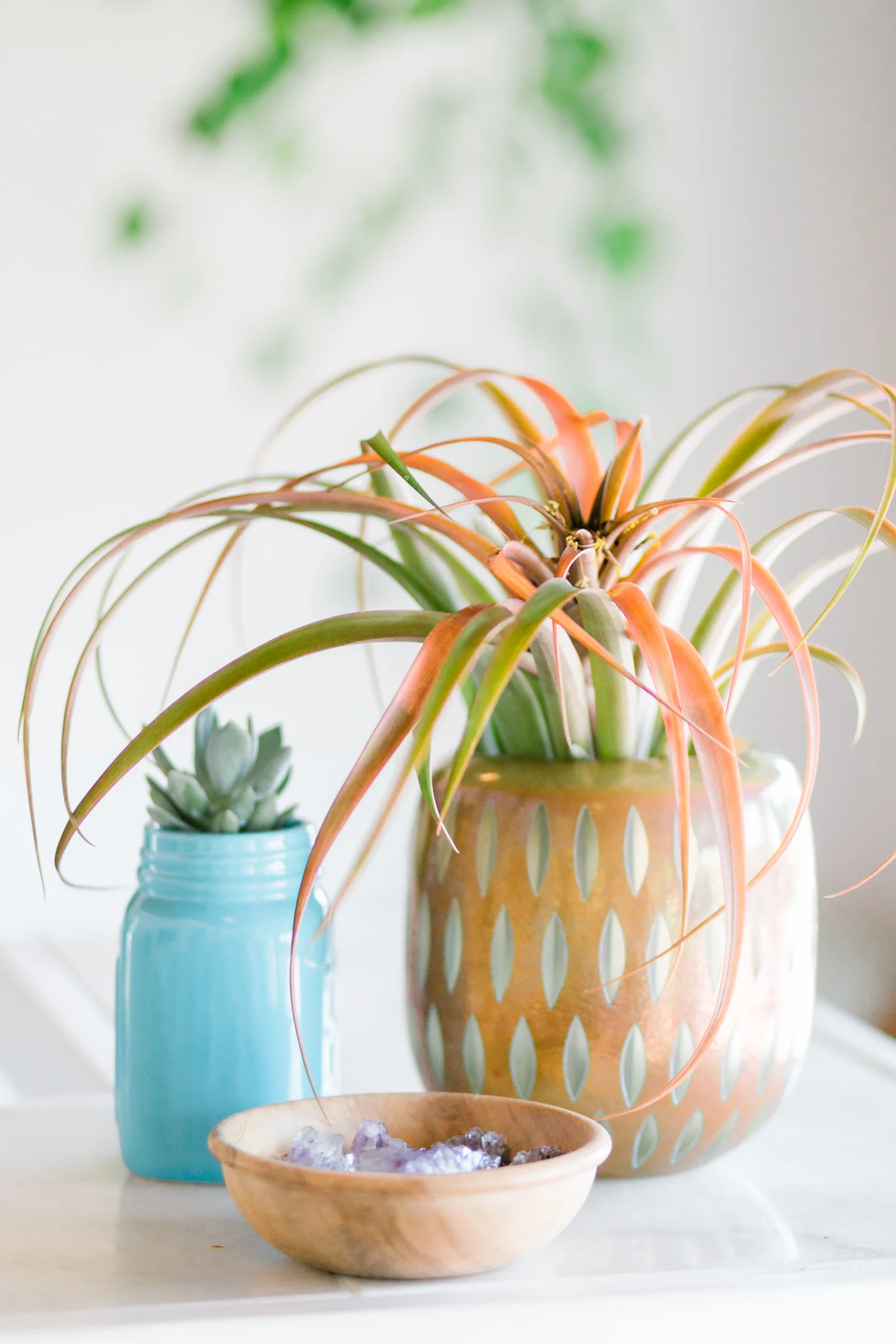 CourtneyPaigeRay_ElixirSkinStudio_BrandingPhotographer-10.jpg