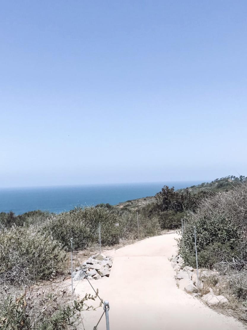 Screenshot 2025-12-25 at 4.09.14 PM.png