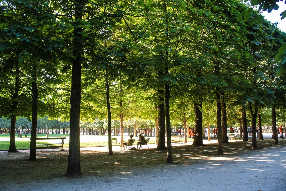 Sunlight through the trees at Jardin des Tuileries