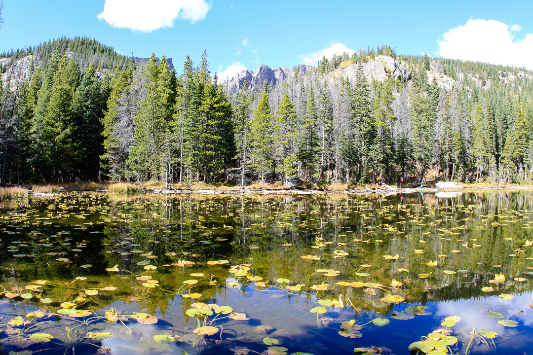 Nymph Lake, recognizable by its pond lilies