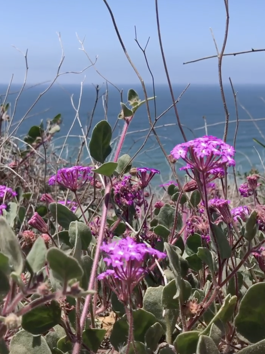 Screenshot 2025-12-25 at 4.09.00 PM.png