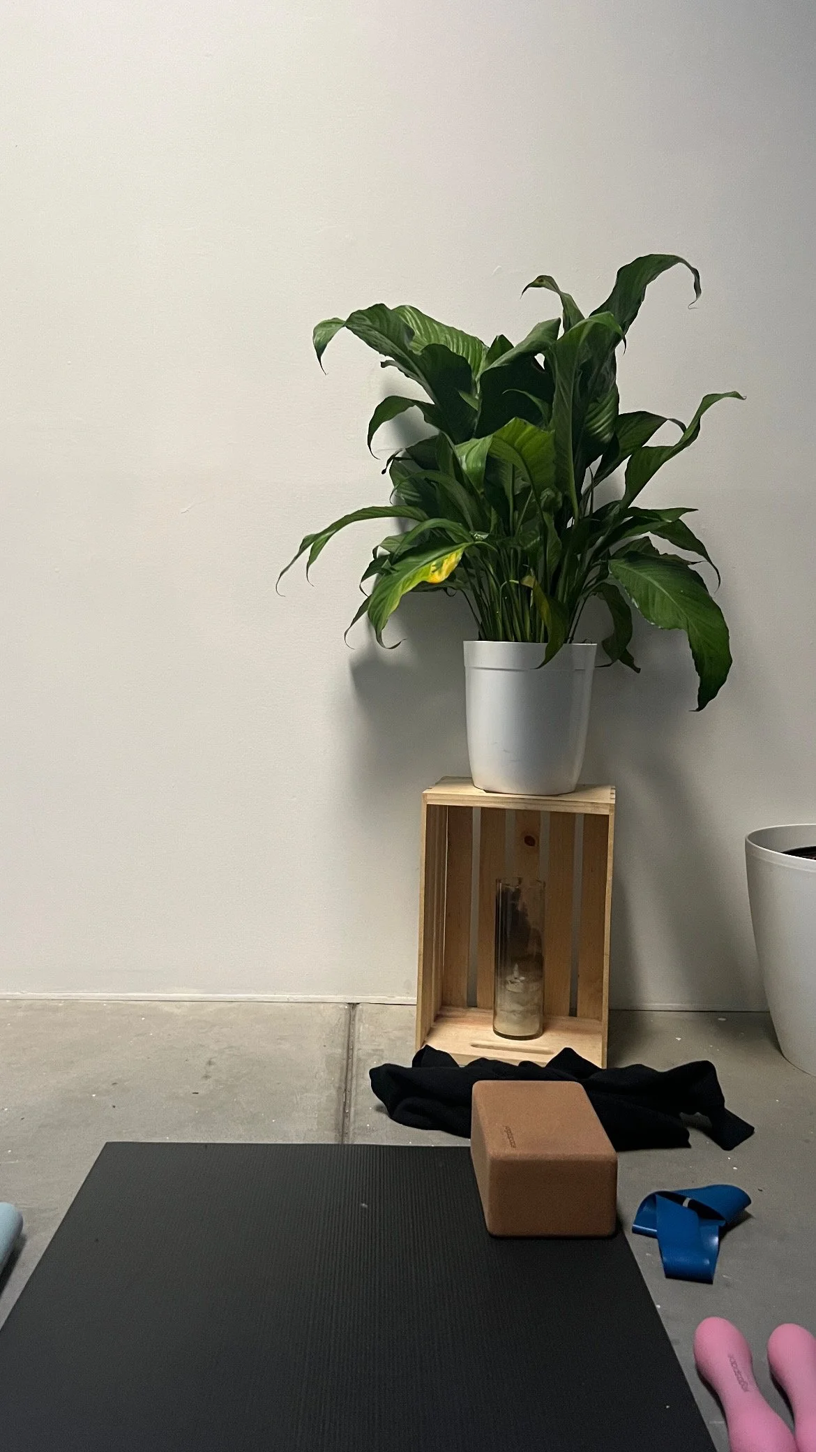 Doing a mix of yoga, mat pilates, and HIIT at a local studio