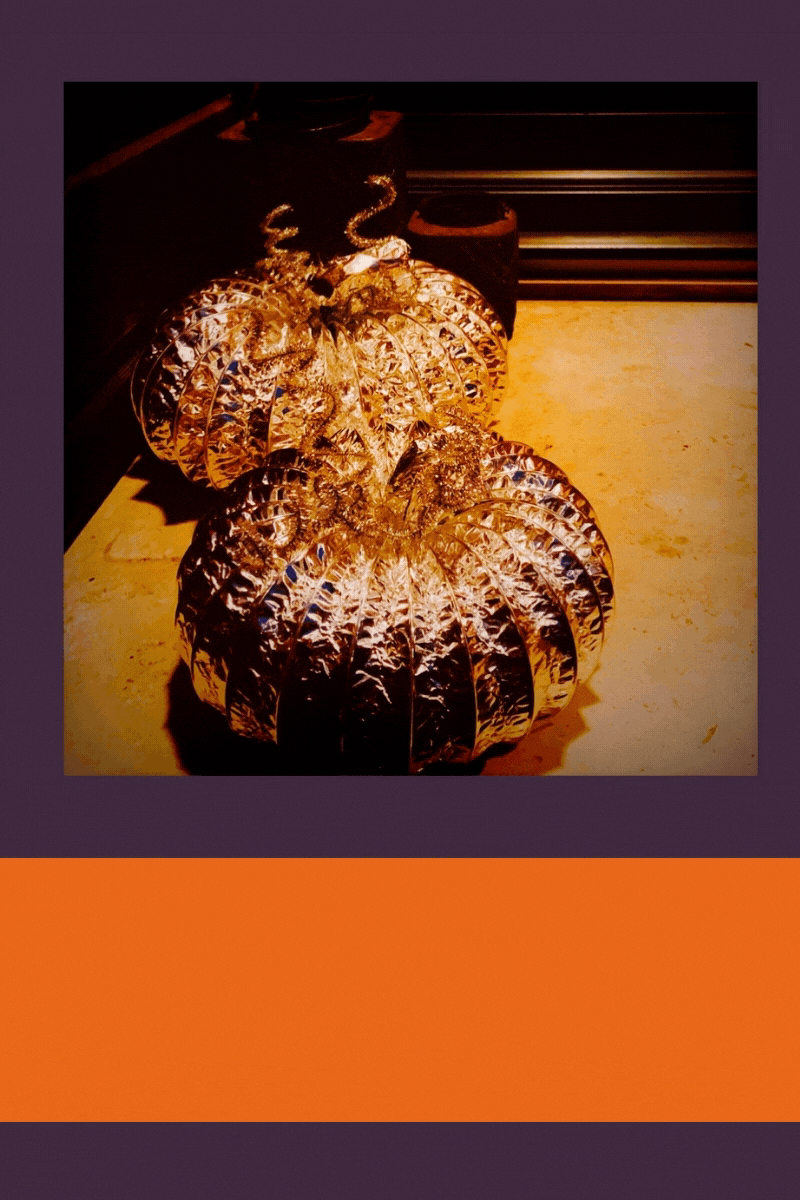 Les citrouilles de l'espace